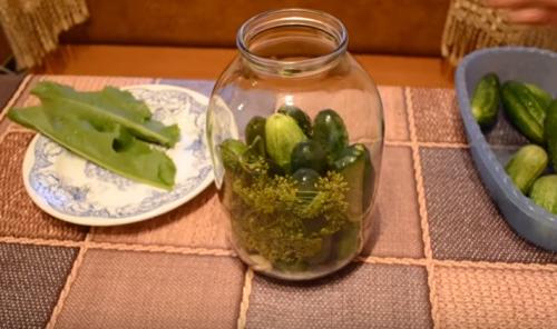 Вкусные соленые огурцы на зиму рецепты. Хрустящие соленые огурцы холодным способом. Рецепт на 3 литровую банку