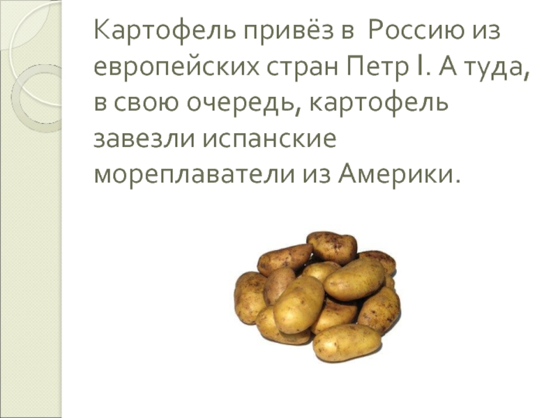 Откуда картошка в россии