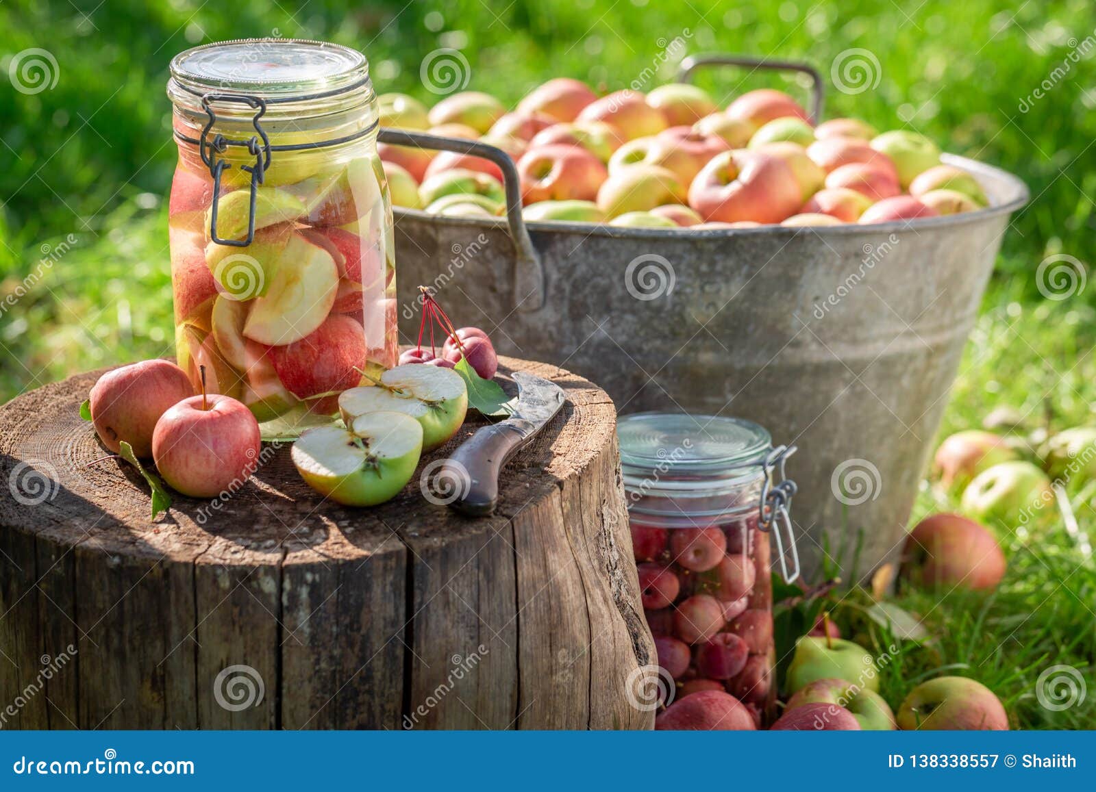 Ведро яблок. Яблоневый сад сбор урожая. Большой урожай яблок. Яблоня опадает. Урожай яблок.