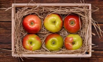 Хранение урожая яблок