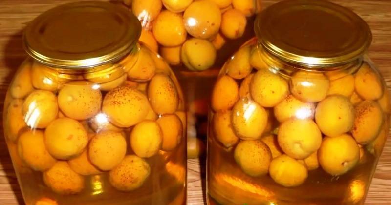 Лимонную кислоту добавляют в компот. Компот из абрикос. Абрикосовый компот. Компот из абрикосов фото. Компот из абрикосов и крыжовника на зиму.