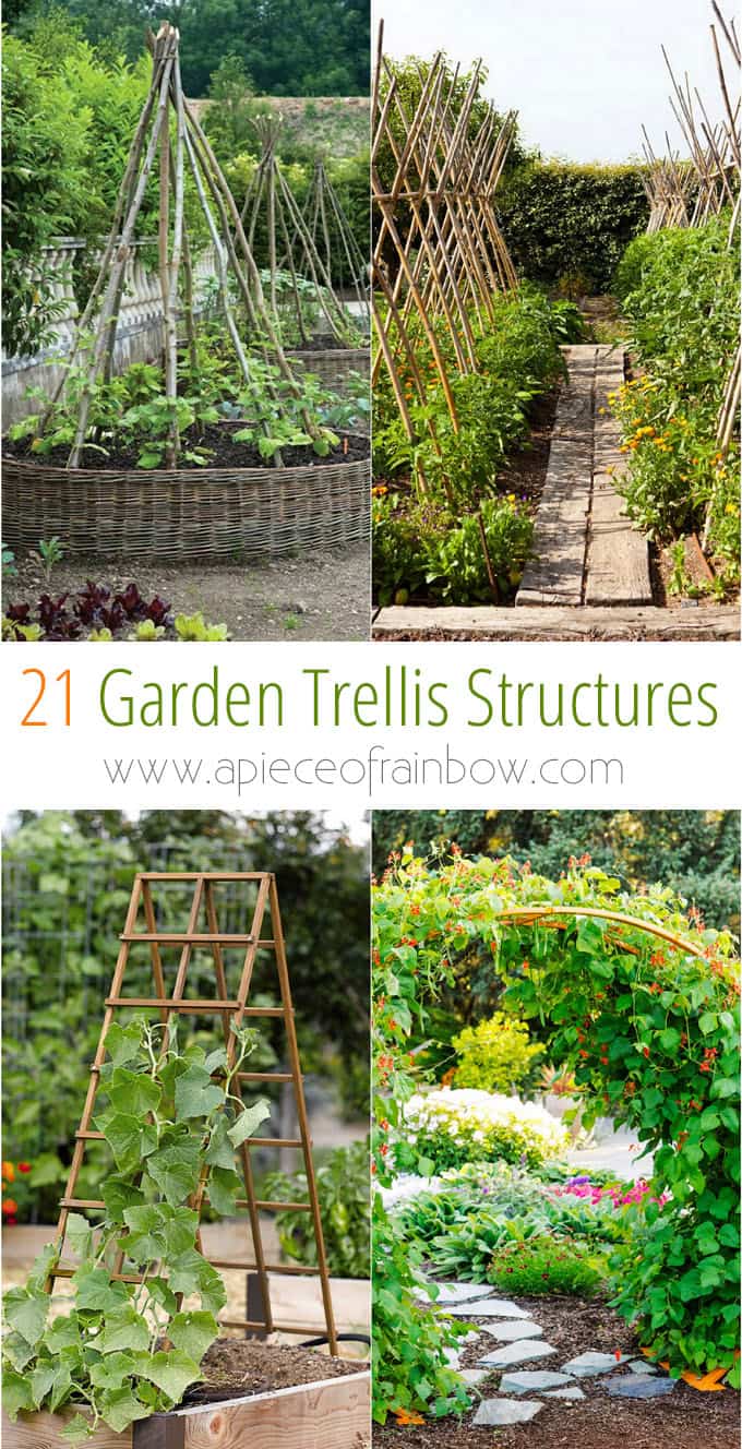 21 beautiful and DIY friendly garden trellis and structures, such as cucumber trellis, bean teepees, grape tunnels, pergolas, screens, etc. Create productive and enchanting garden spaces with trellis planters, panels, and more! - A Piece Of Rainbow