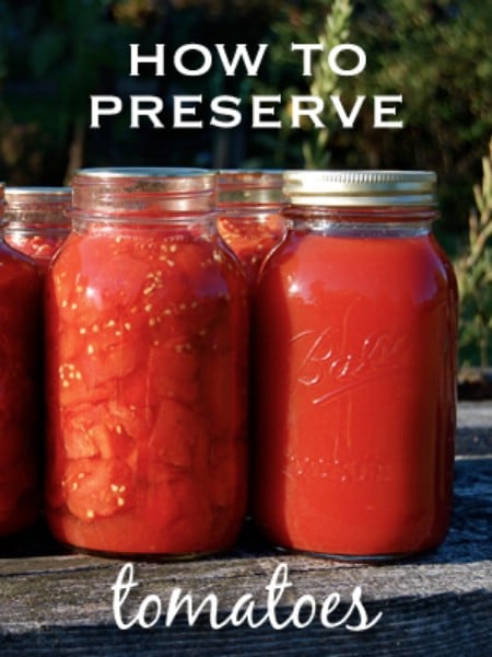 Canning Tomatoes the Old-Fashioned Way - Top 8 Most Popular Ways to Preserve Tomatoes for Winter