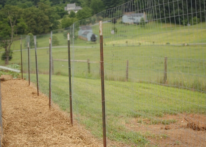 How to Build a Chicken Run