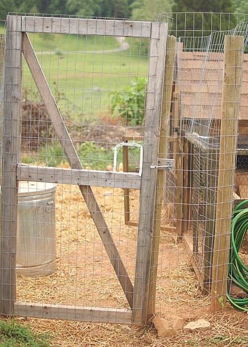 How to Build a Chicken Run