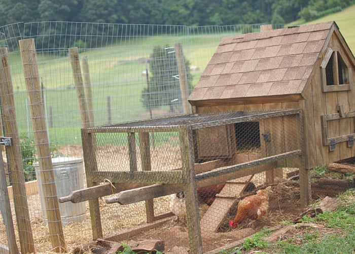 how to build a chicken run