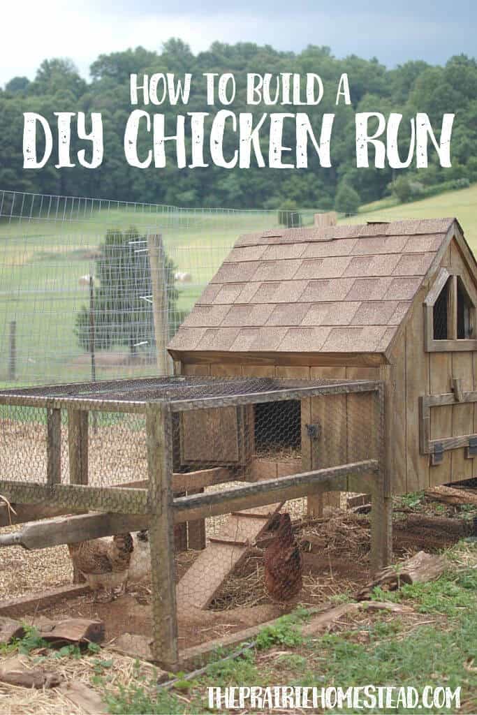 instructions for a diy chicken run